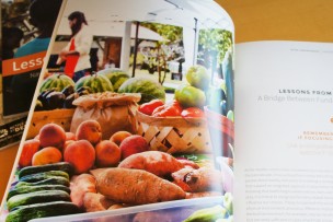 Investing in Healthy Community Change, Active Living By Design resource for funders
